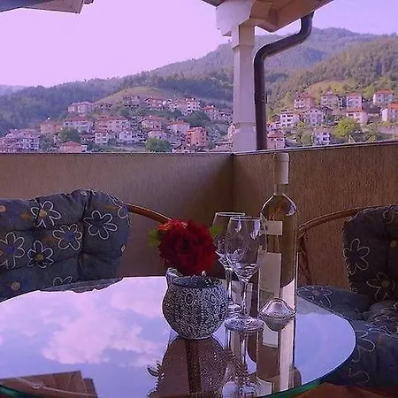 стиляна/hotel Stilyana 酒店 代温